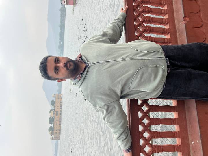 Person standing on a balcony overlooking a lake with a palace in the background.