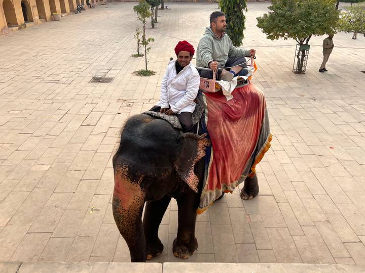 People riding an adorned elephant on a paved ground.