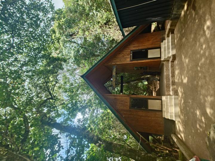 Cabane en bois en forme de A dans un cadre forestier.