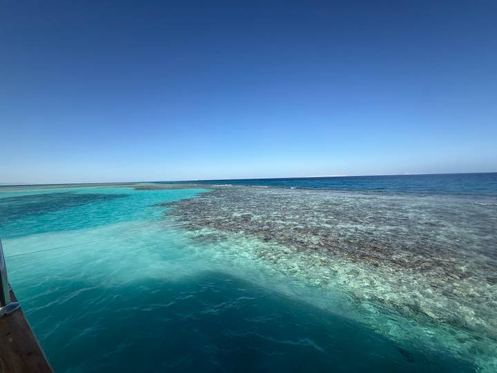 Hermoso arrecife de coral en aguas turquesas cristalinas.