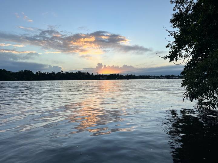 Coucher de soleil sur un lac avec des silhouettes d'arbres.