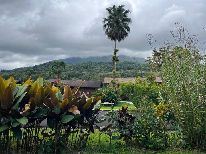 Un paysage montagneux avec une végétation luxuriante.