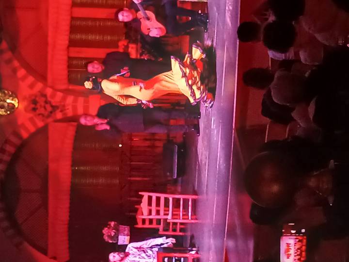 Bailaora de flamenco actuando en el escenario con público y músicos.