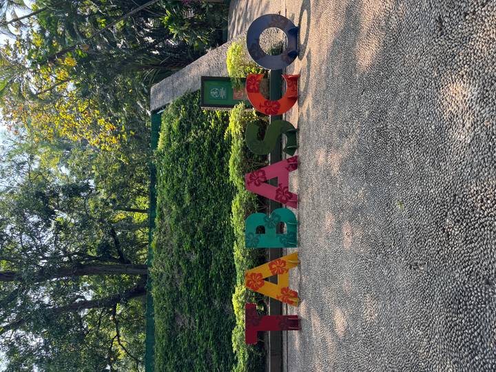 Colorful 'TABASCO' sign surrounded by greenery.