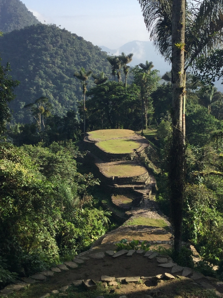 Stone terrace ruins of Ciudad Perdida rising through dense jungle on a mountainside