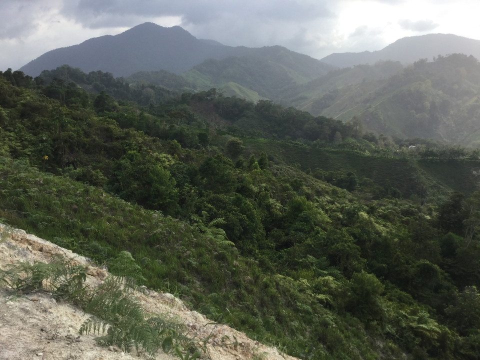 Expansive view of green, forest-covered mountains with distant ridges under light clouds