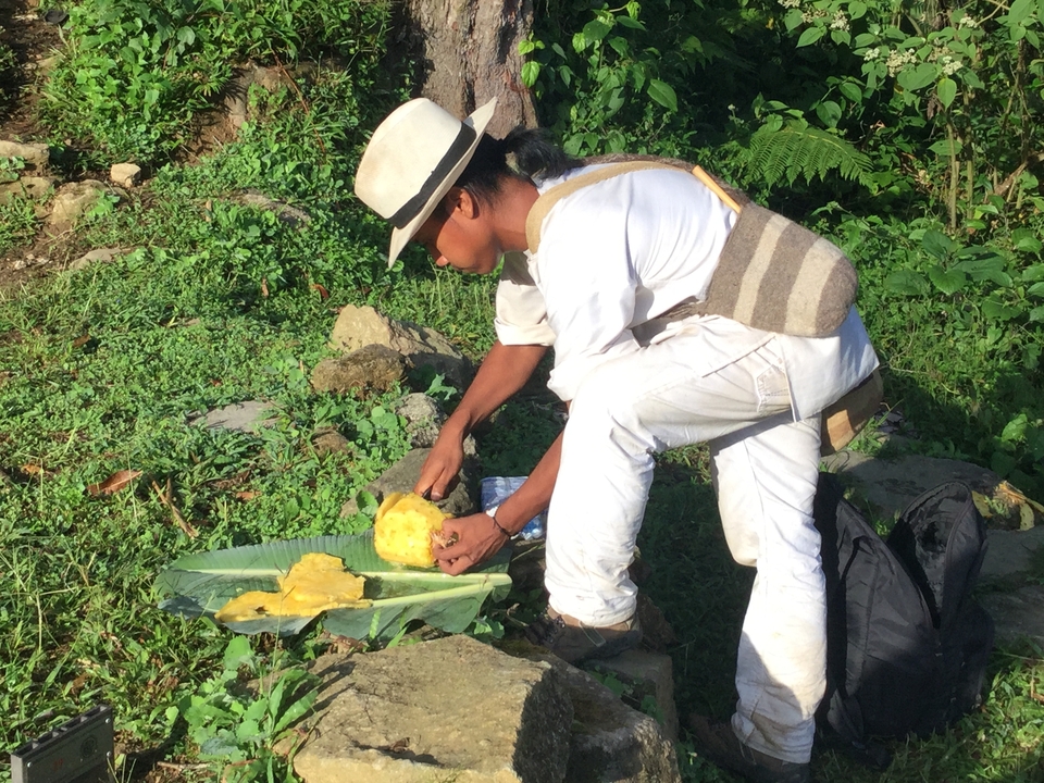 Indigenous man in white clothing slicing a pineapple on a banana leaf in a lush green jungle setting
