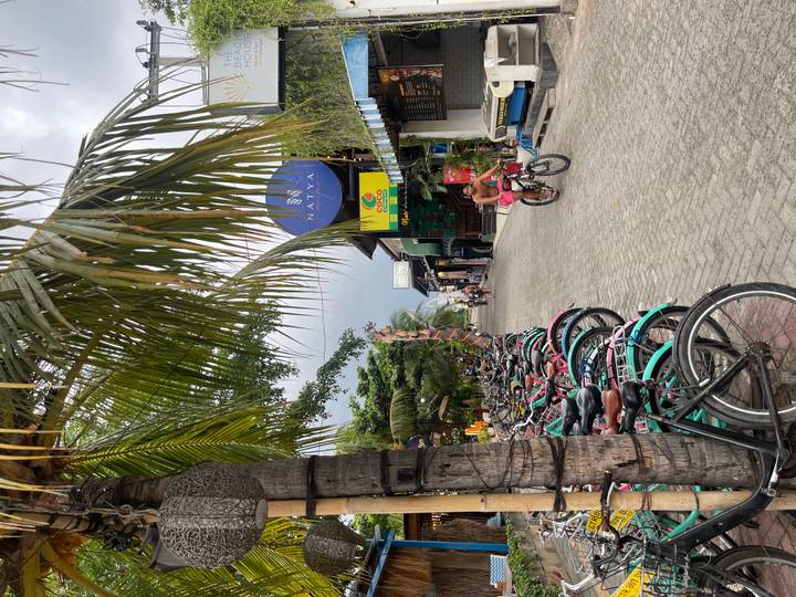Rue animée avec cyclistes et palmiers.