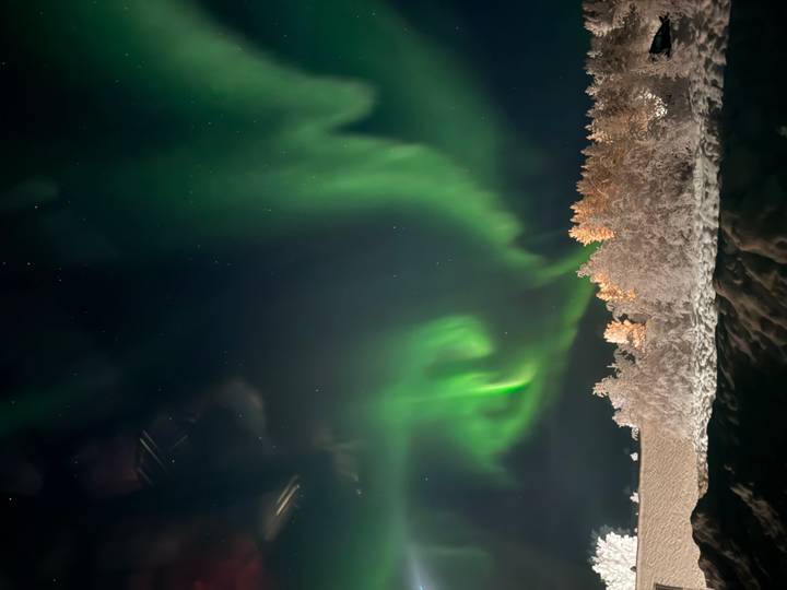 Dramatische Darstellung von Nordlichtern über verschneiter Landschaft und Bäumen in der Nacht.