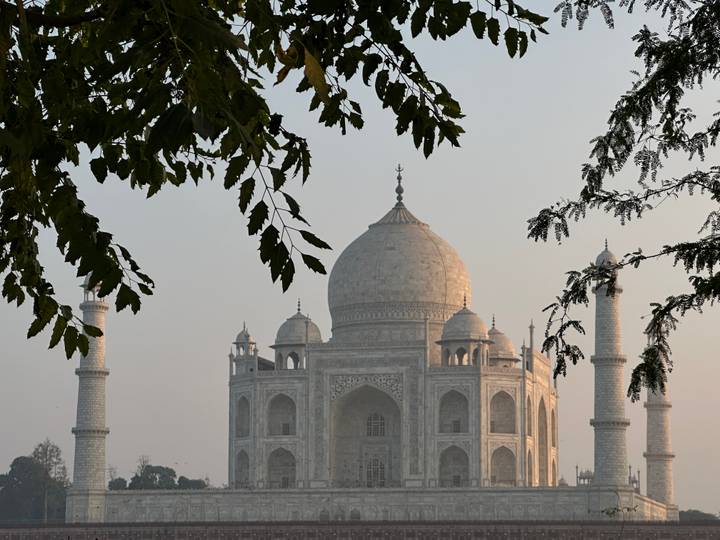 Iconic domed mausoleum of the Taj Mahal framed by overhanging leaves in soft morning haze.