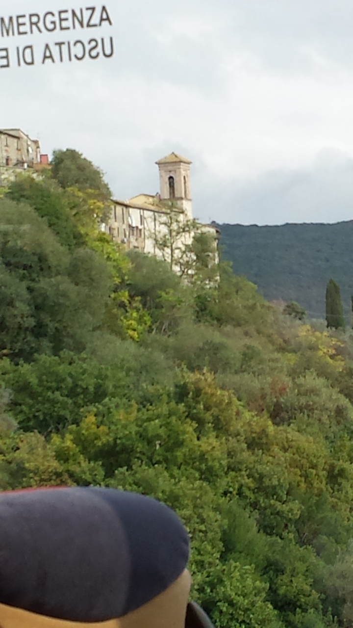 Extremely blurry shot of building edge and dense green foliage on a hillside