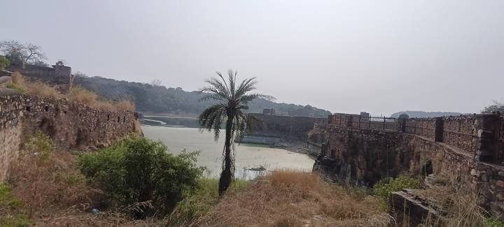 Rundown fort with a palm tree and overgrown vegetation.