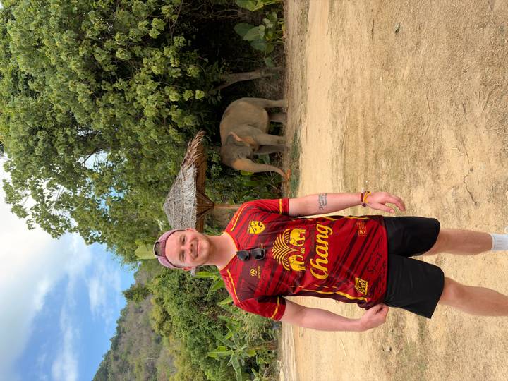 Traveller standing near an elephant shelter in a jungle clearing on a sunny day.