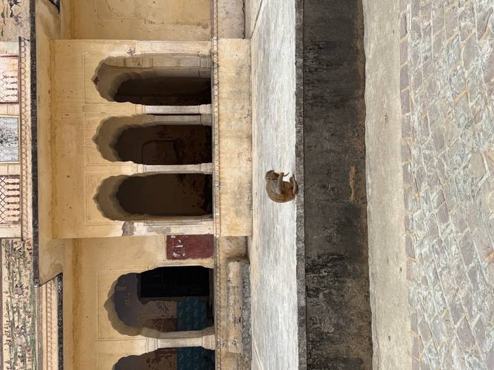 A lone monkey sits on a stone ledge in front of an old arched building with faded yellow walls.