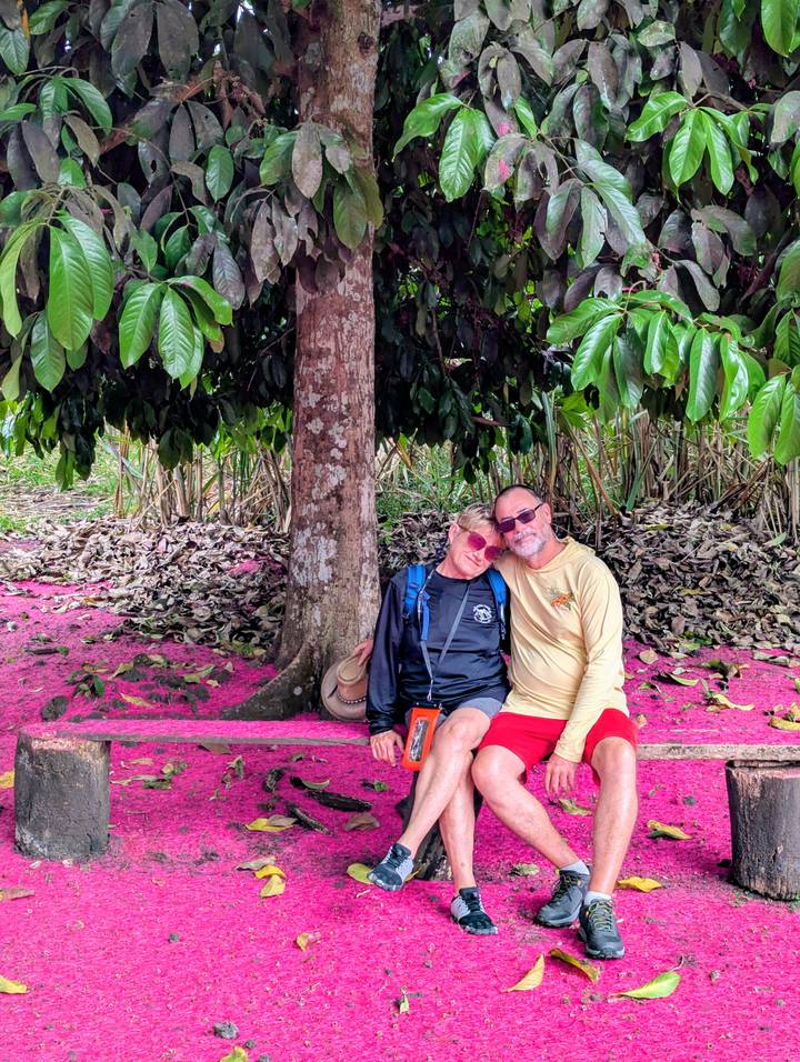 Couple relaxing on a pink-petal covered bench beneath a tropical tree on a plantation.