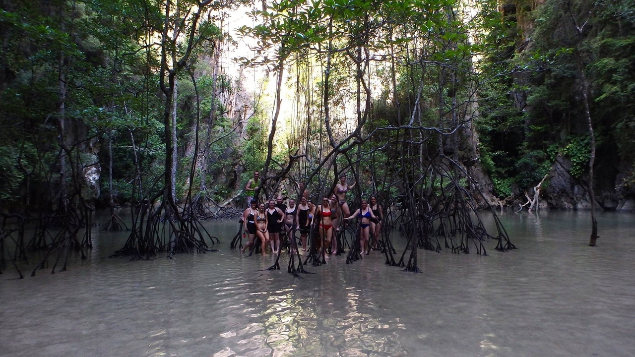 Un groupe de personnes se tenant dans une eau peu profonde, entouré de palétuviers.