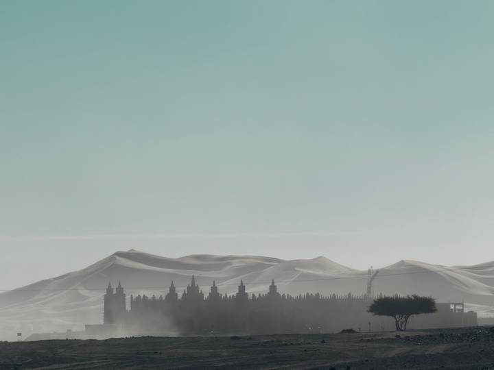 Hazy vista of rolling desert dunes behind a dark silhouette of palm trees beneath a pale turquoise sky.