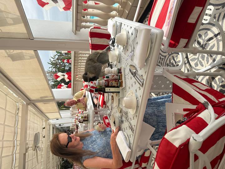 Open-air terrace café with red-and-white décor where a small monkey perches on a breakfast table beside seated diners.