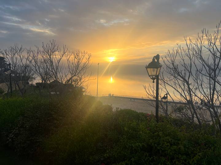 Soft morning sun rises over a calm shoreline framed by bare branches and a vintage lamp.