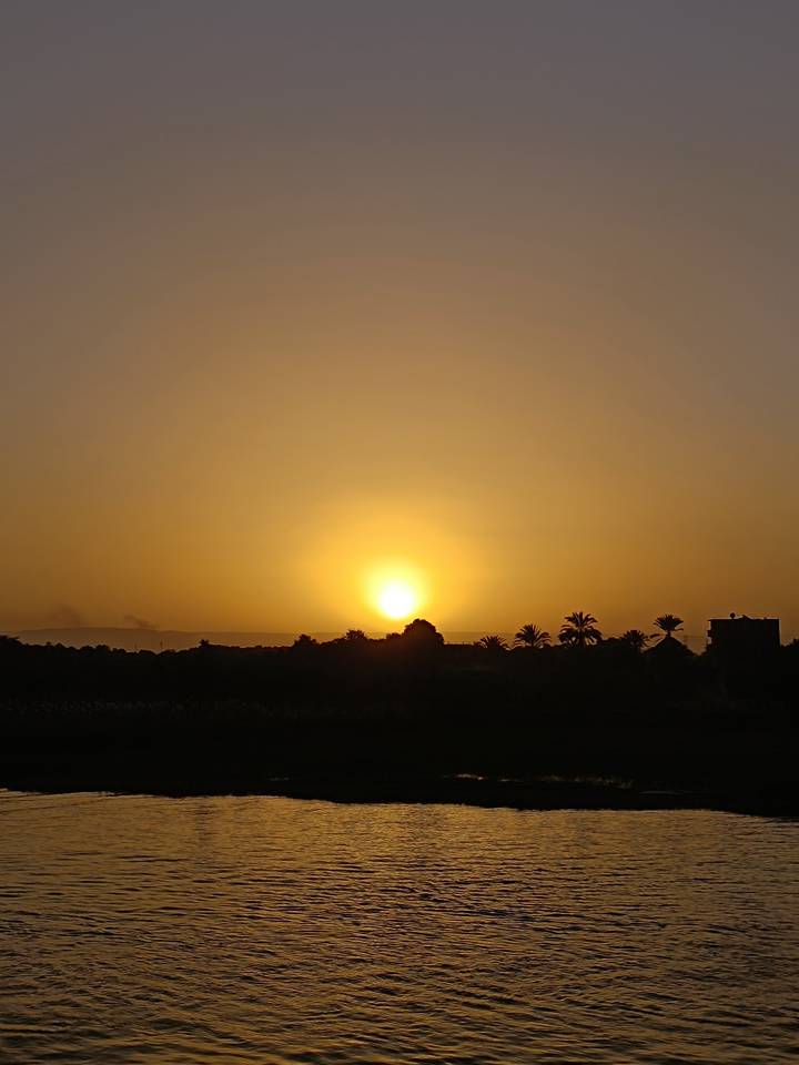 Soft golden sunrise over palm-lined Nile valley silhouettes.