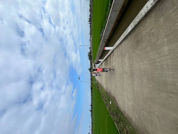 Cyclists ride along a concrete lane cutting through vivid green rice paddies beneath a blue sky.