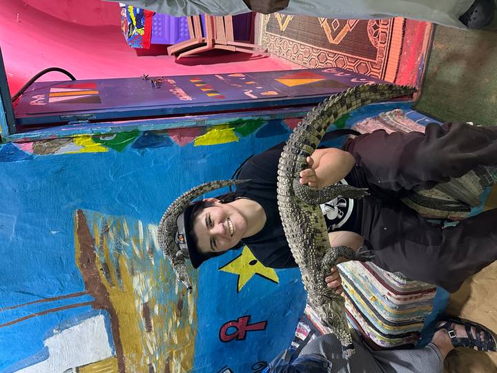 Traveller smiling while holding a small crocodile inside a brightly painted room