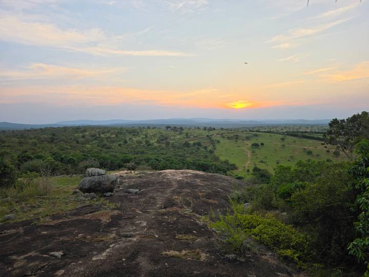 Wide sunset view of rolling green savannah from a rocky hilltop.
