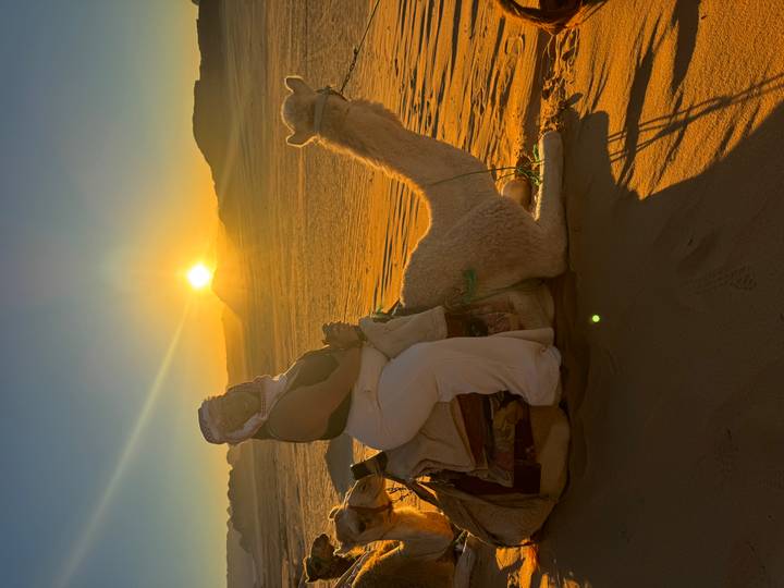 Traveller sits on a camel at sunset with golden sun low over sweeping desert dunes.