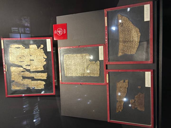 Display case with ancient papyrus manuscripts mounted on dark boards in a museum setting.
