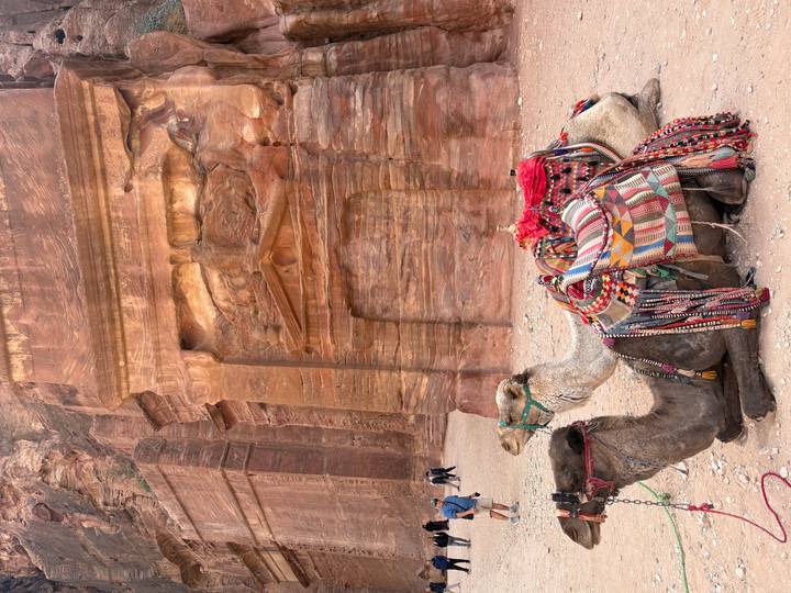 Decorated resting camel in Petra against carved sandstone tomb façade.