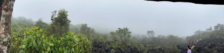 Foggy tropical forest scene with volcanic rocks and lush green vegetation but limited visibility.