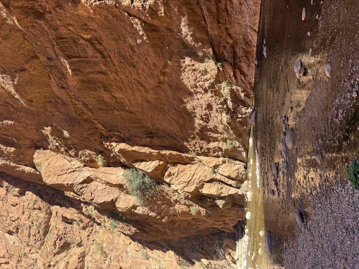 Sheer red rock walls of Todra Gorge towering above a shallow stream with reflections.