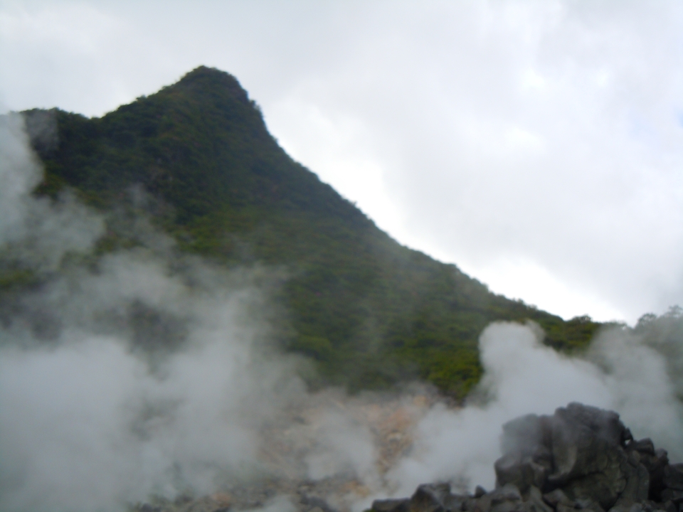 Paysage de vapeur avec de la verdure et un arrière-plan montagneux.