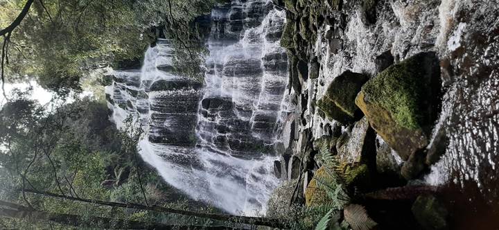 Powerful stepped cascade tumbles over mossy rocks within dense temperate rainforest.