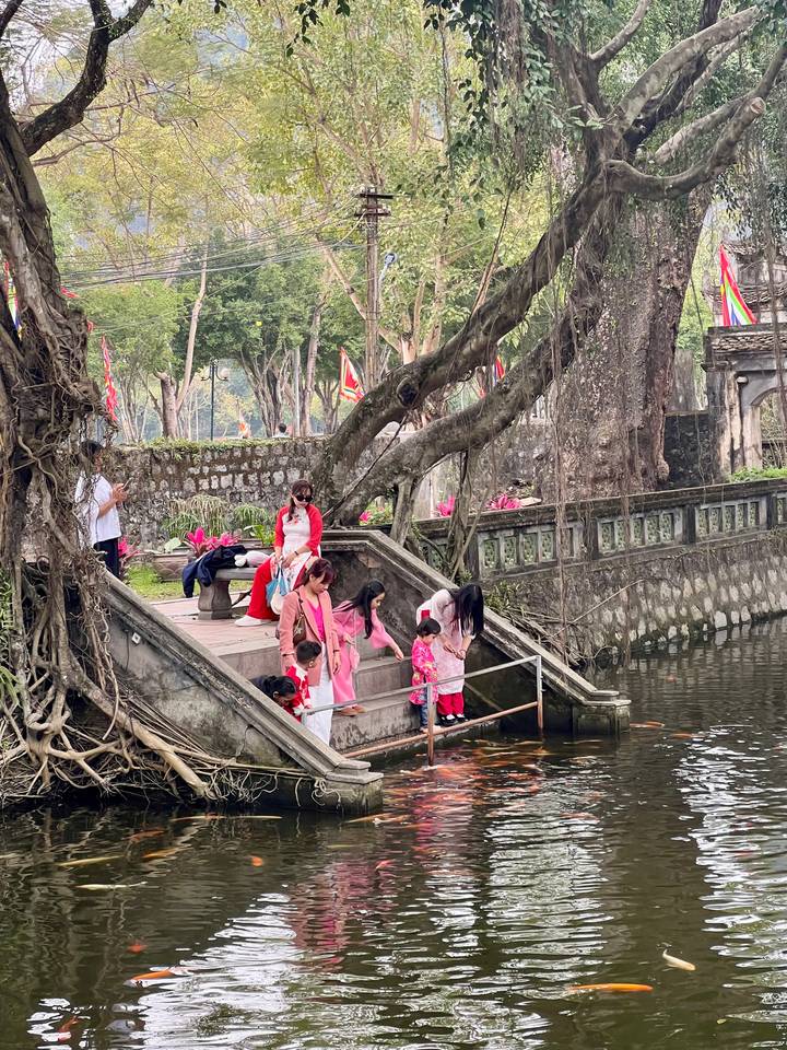 Families in pink traditional ao dai feed fish beside a temple pond shaded by large trees.