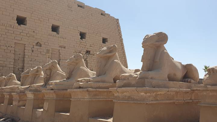 Row of ram-headed sphinx statues guarding the ancient sandstone walls of Karnak Temple.
