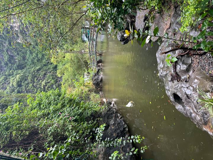 Quiet pond surrounded by lush greenery and rocky cliffs with a small footbridge in the background