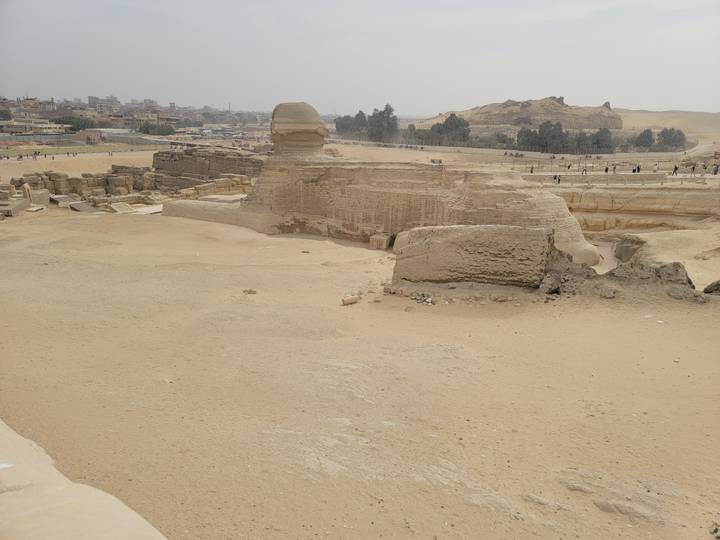 Side view of the Great Sphinx surrounded by desert sands and distant settlement.