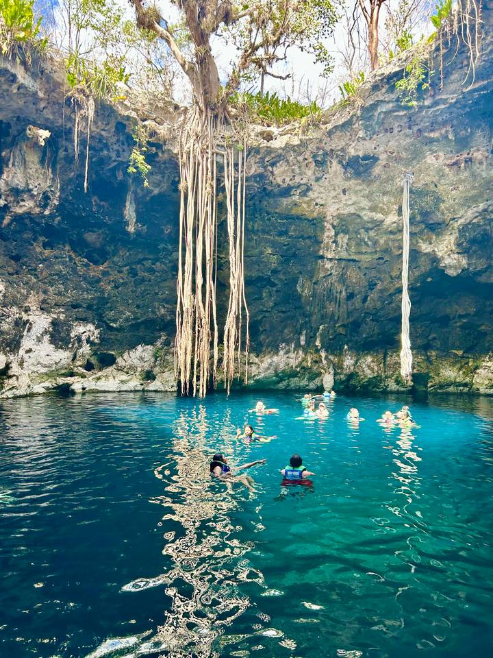 Swimmers enjoy turquoise water inside a dramatic cave cenote with long tree roots dangling from above.