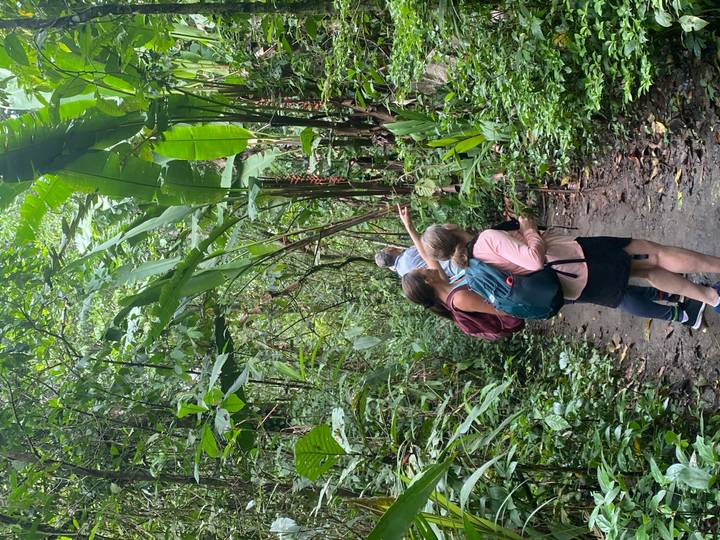 Hikers with backpacks follow a muddy jungle trail beneath towering broad-leaf plants.