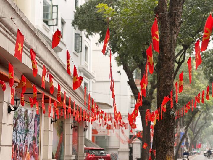 Vietnamese national flags hang in rows above a leafy city street lined with colonial buildings.