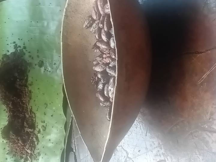 Close-up of a rustic bowl filled with cocoa beans on a wooden surface.