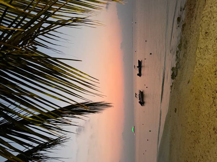 Tropical twilight scene with palm fronds framing anchored motorboats on calm pink-hued water.