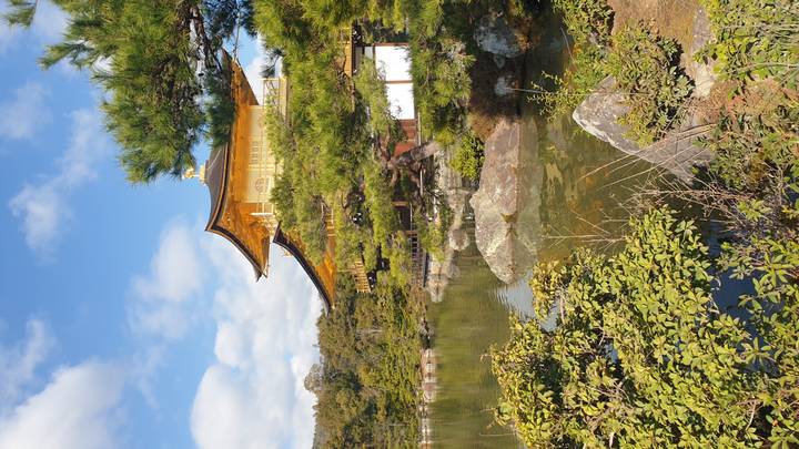 Golden Pavilion (Kinkaku-ji) reflecting on a tranquil pond surrounded by lush greenery.