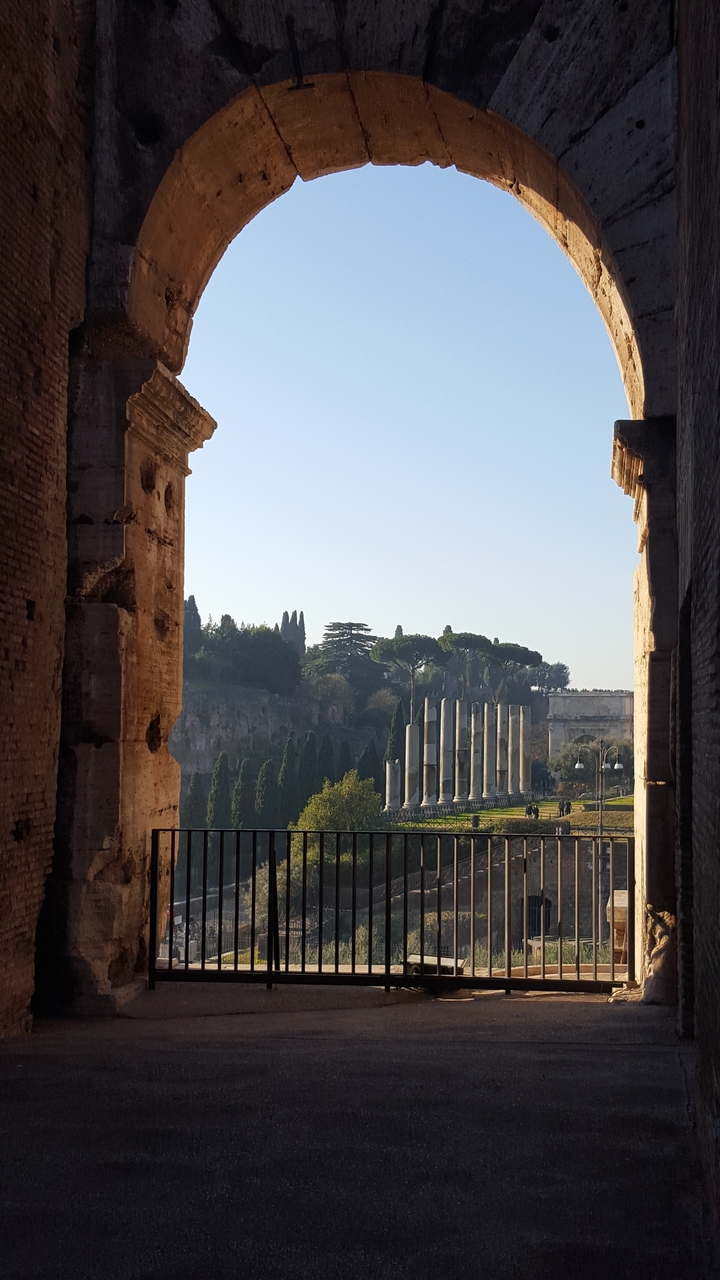 Roman Forum seen through ancient columns.