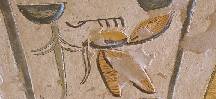 Close-up of a colorful ancient Egyptian hieroglyph depicting a bee and plant detail