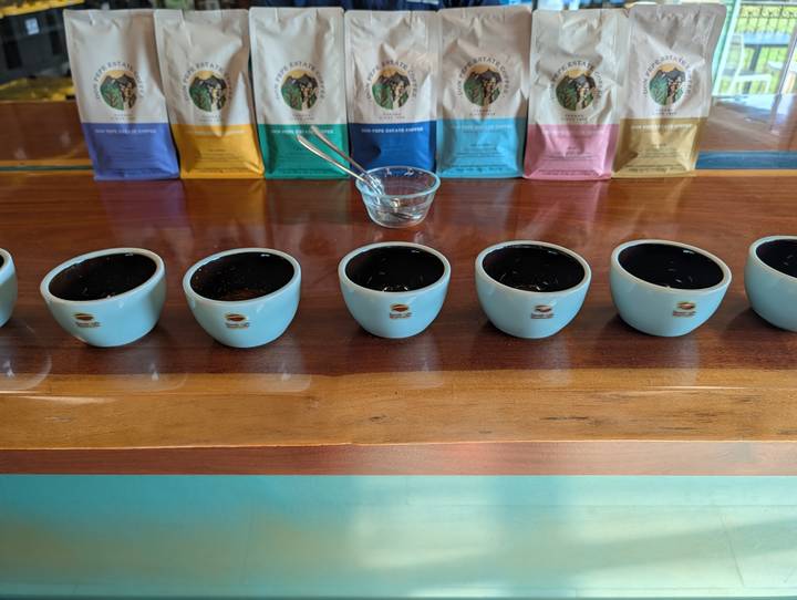 Row of light-blue cupping bowls prepared for a coffee tasting on a wooden counter.