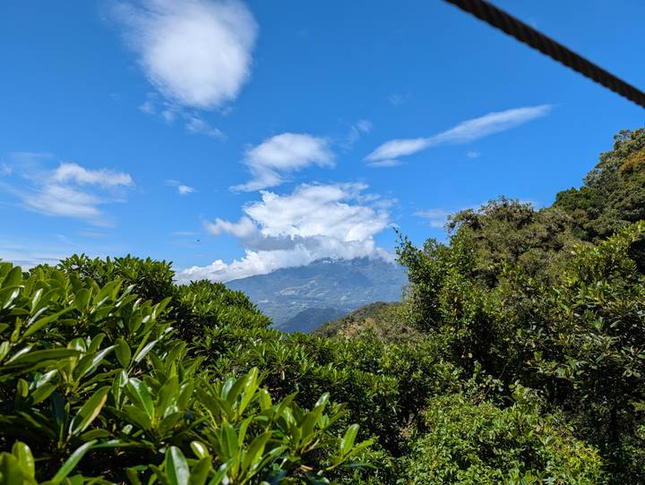 Lush mountain landscape with blue sky and scattered clouds seen through dense greenery.