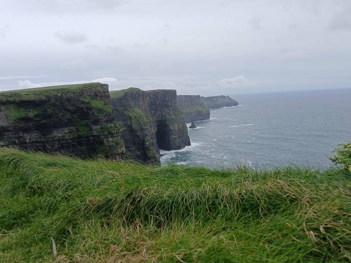 Dramatic vertical cliffs plunging into the Atlantic Ocean with windswept grass in the foreground.