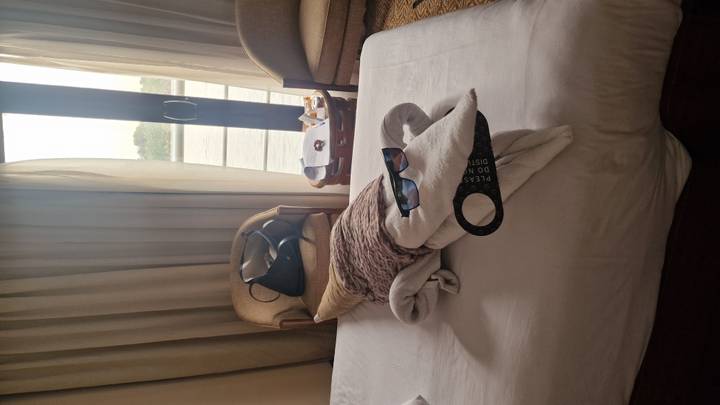 Cabin towel sculpture wearing sunglasses rests on a neatly made bed with river view through balcony doors.